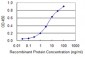SNAI2 Antibody (monoclonal) (M03)
